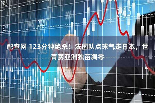 配查网 123分钟绝杀！法国队点球气走日本，世青赛亚洲独苗凋零