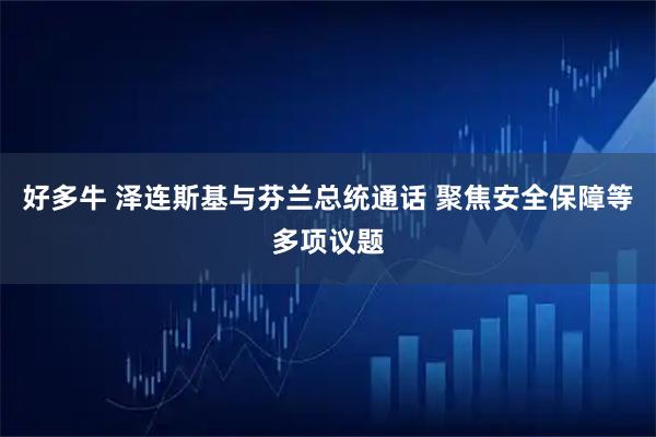 好多牛 泽连斯基与芬兰总统通话 聚焦安全保障等多项议题