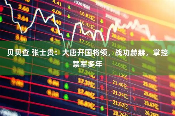 贝贝查 张士贵：大唐开国将领，战功赫赫，掌控禁军多年