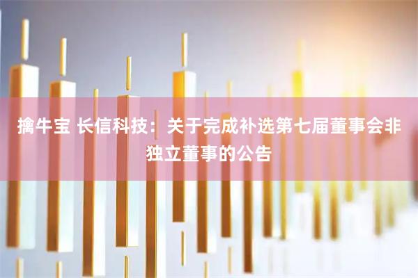 擒牛宝 长信科技：关于完成补选第七届董事会非独立董事的公告
