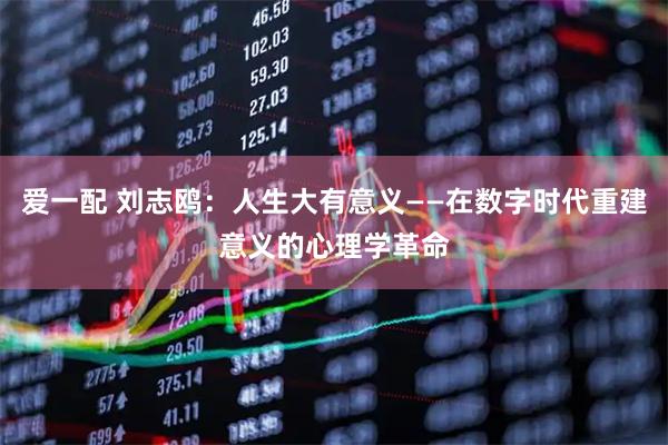爱一配 刘志鸥：人生大有意义——在数字时代重建意义的心理学革命